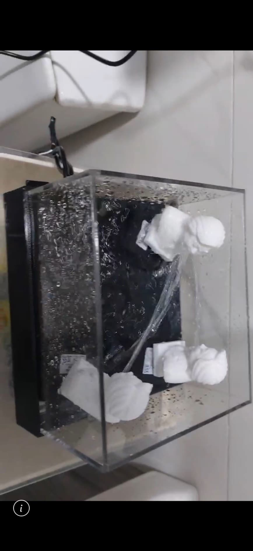 多公仔噴水水池